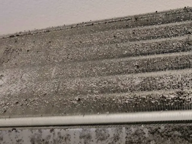 ☆カビ、ホコリ汚れピカピカに！☆エアコンクリーニングなら世界にトシちゃんへサービスの画像