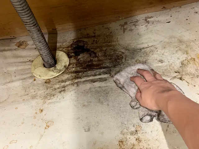 プロの女性スタッフと一緒に片付け！男性単身者OK！★paypay可サービスの画像