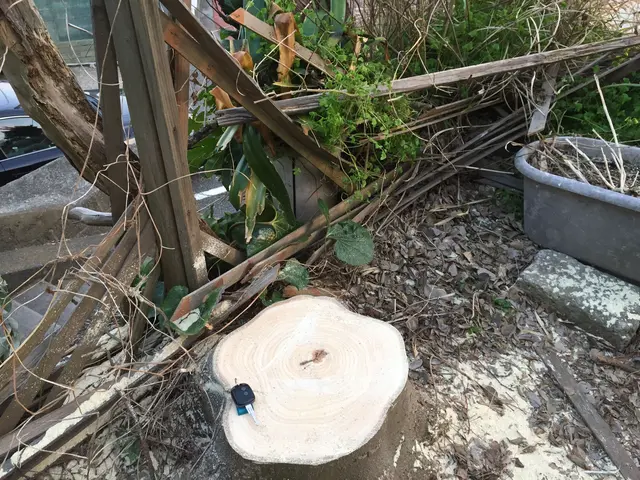 庭木の伐採、抜根承ります。重機やクレーンを使用不可現場も安全に作業できます。サービスの画像