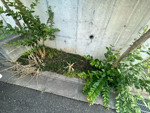 【緊急事態です】伐採や抜根の仕事を下さい！お願いします！サービスの画像