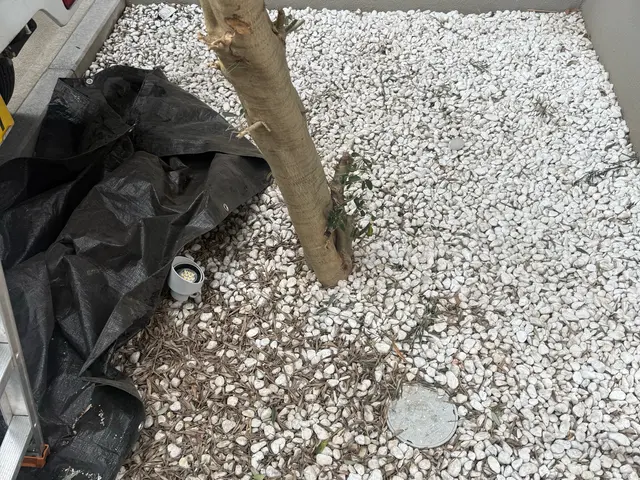 【緊急事態！】2025アワード入選記念！特別割引実施中！サービスの画像