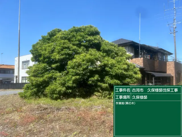 【緊急事態です】伐採や抜根の仕事を下さい！お願いします！サービスの画像