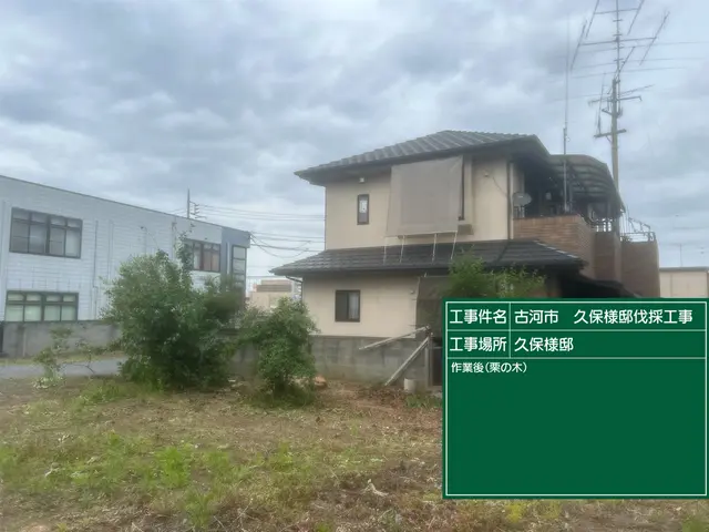 【緊急事態です】伐採や抜根の仕事を下さい！お願いします！サービスの画像