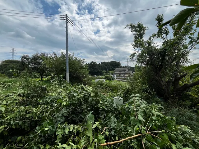 庭木の剪定サービスの画像