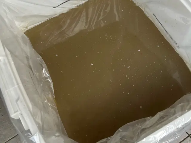 分解洗浄でスッキリ綺麗に！ ギトギト油さようなら！プロペラ換気扇のみ7200円！サービスの画像