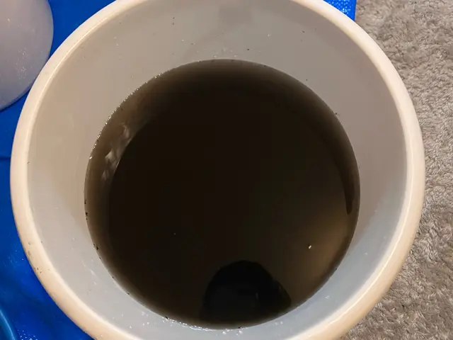 【大掃除割12月ご予約限定！】エアコン、室外機、防カビコーティング　12000円サービスの画像