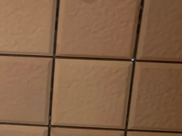 タイル洗いお任せ下さい！大理石、タイルは特殊洗剤でピカピカになります！サービスの画像