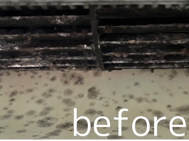 丁寧に対応！若手にお任せエアコンクリーニングサービスの画像