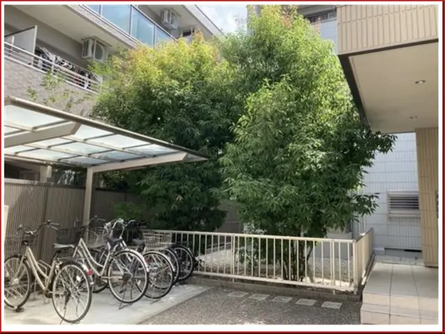 安全第一！迅速・丁寧な作業で、お庭の悩みを解決します！サービスの画像