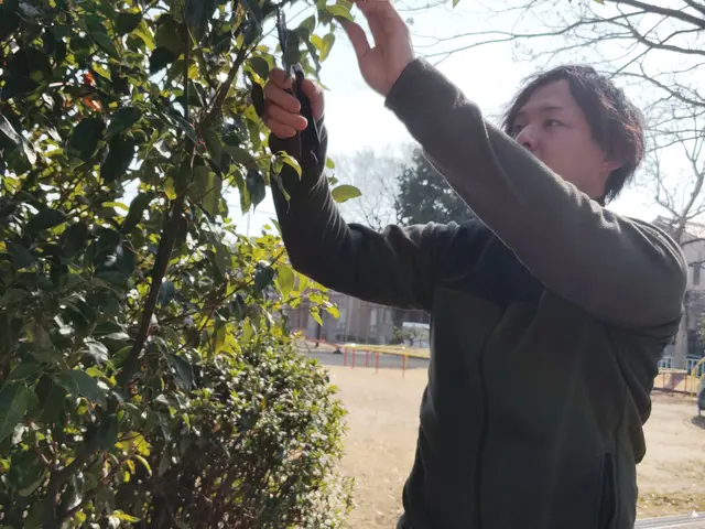 安全第一！迅速・丁寧な作業で、お庭の悩みを解決します！サービスの画像