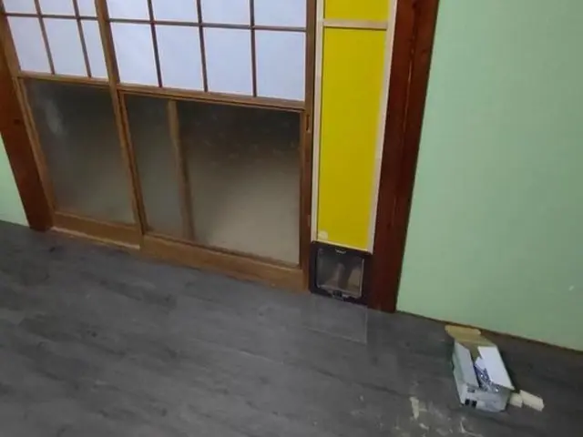 扉以外にも施工可能！壁やその他、臨機応変に対応・施工します◎キャットウォーク◎サービスの画像