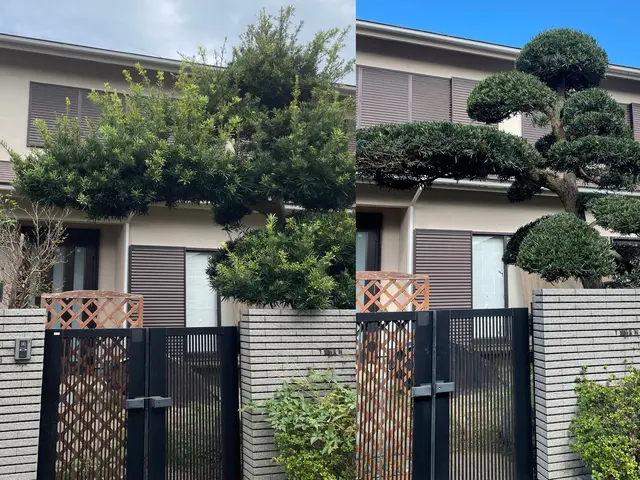 【くらしのマーケット11年目！】枝葉回収費込み価格！バッサリ剪定は今が最適！サービスの画像