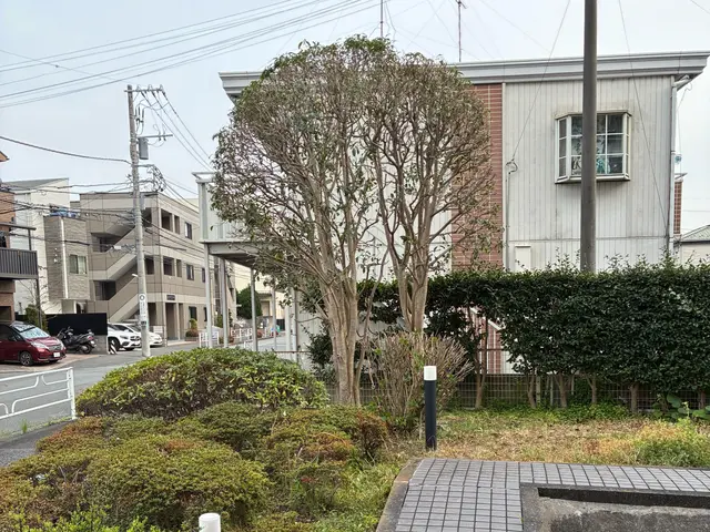 【くらしのマーケット12年目】スッキリ明るい庭にしませんか！写真を送ってくださいサービスの画像