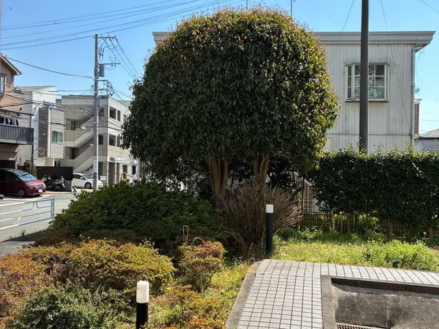 【くらしのマーケット12年目】スッキリ明るい庭にしませんか！写真を送ってくださいサービスの画像