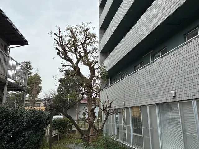 【くらしのマーケット12年目】スッキリ明るい庭にしませんか！写真を送ってくださいサービスの画像