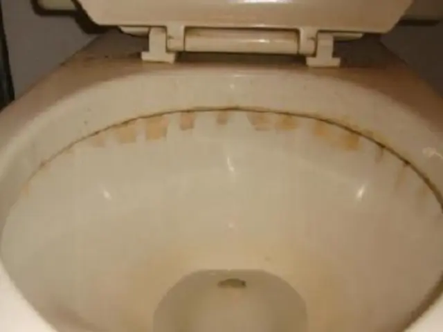 次の方に気持ちよく！引越し・退去後の専門清掃サービスの画像