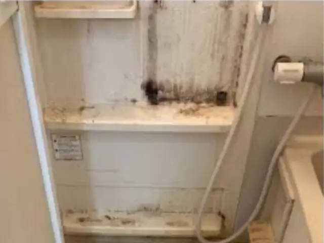 次の方に気持ちよく！引越し・退去後の専門清掃サービスの画像