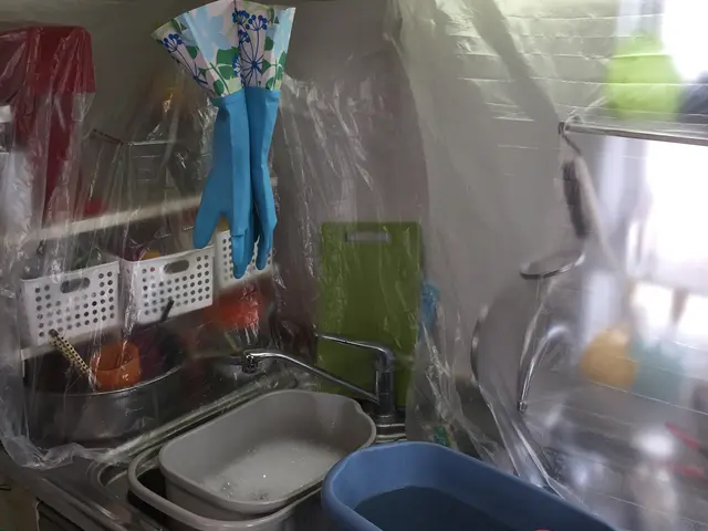 天然洗剤使用♪安心の保険加入！非喫煙者が対応サービスの画像