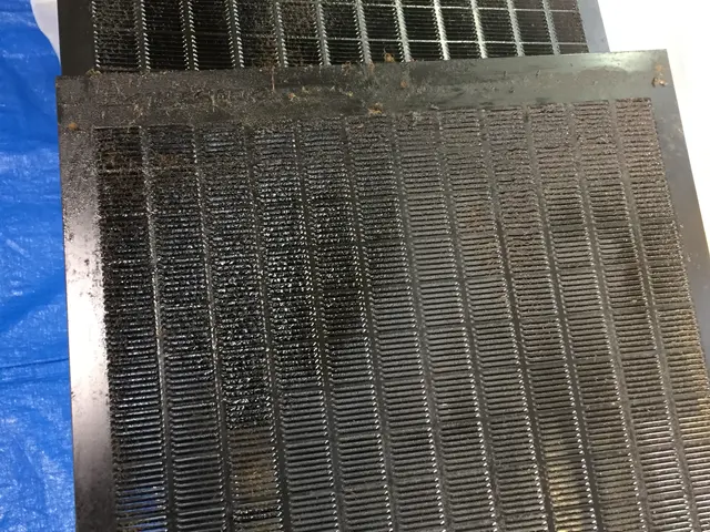 天然洗剤使用♪安心の保険加入！非喫煙者が対応サービスの画像