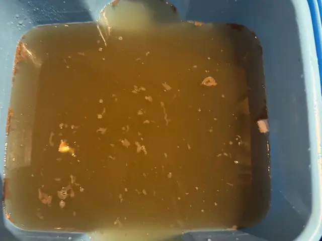 ◇抗菌コート無料◇3回洗いの徹底洗浄！◇2台以降1100円割引！◇損害保険加入済サービスの画像