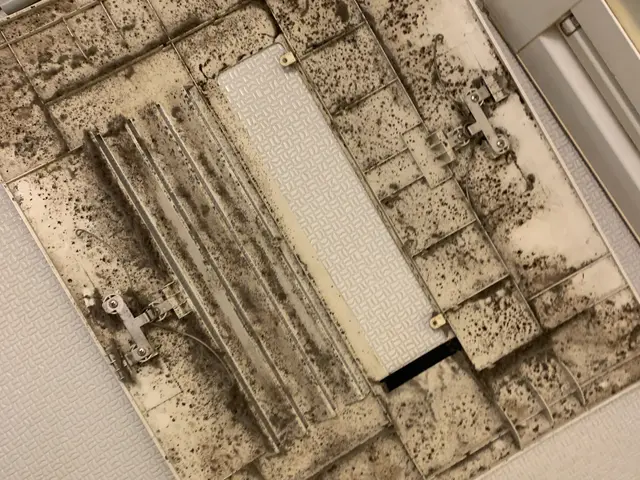 ◇抗菌コート無料◇3回洗いの徹底洗浄！◇2台以降1100円割引！◇損害保険加入済サービスの画像