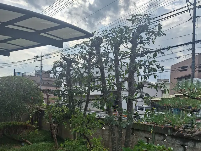 一級技能士がお力になります！経験と知識を活かして迅速丁寧に作業いたします！サービスの画像