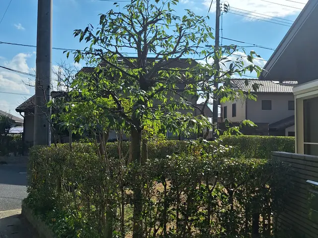 一級技能士がお力になります！経験と知識を活かして迅速丁寧に作業いたします！サービスの画像