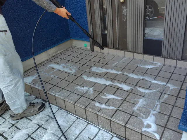 ご自宅の顔である玄関アプローチをピカピカに！高圧洗浄＋ポリッシャーで黒ずみ撃退！サービスの画像