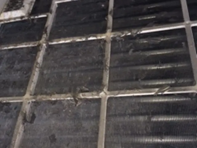 【15年の実績！】汚れによる追加料金なし★安心の損害保険加入店♪サービスの画像