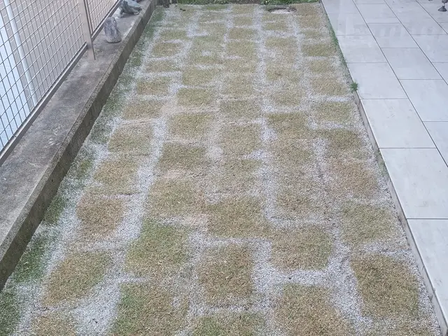 芝張りいたします。こちらでも芝用意できます。お客様が用意も可能です。人工芝も可能サービスの画像