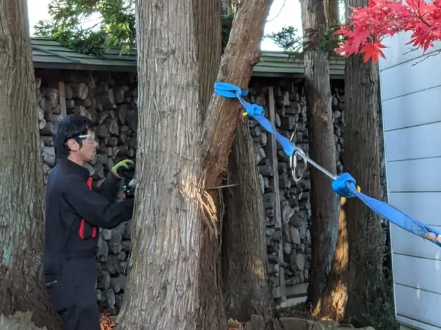 【 樹木の伐倒 】　※岩手県全域対応(対象地域外は交通費等別途。)サービスの画像