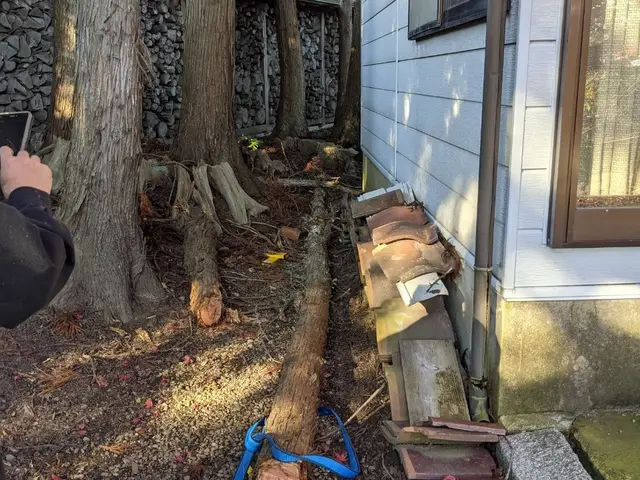 【 樹木の伐倒 】　※岩手県全域対応(対象地域外は交通費等別途。)サービスの画像