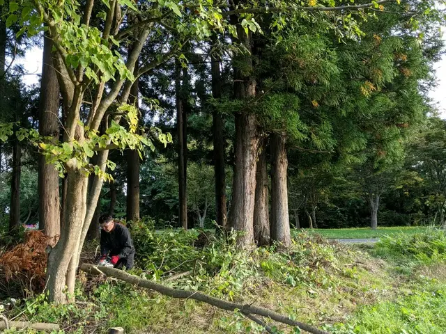 【 樹木の伐倒 】　※岩手県全域対応(対象地域外は交通費等別途。)サービスの画像