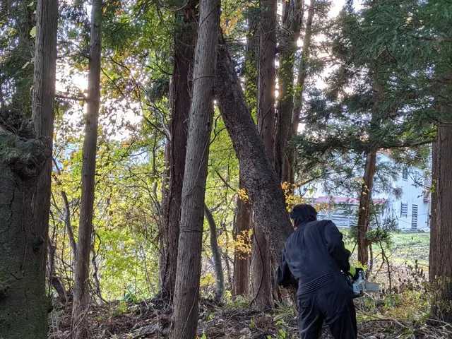 【 樹木の伐倒 】　※岩手県全域対応(対象地域外は交通費等別途。)サービスの画像
