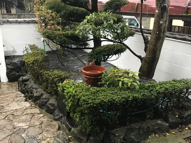 【仕上がり保証付き】豊富な経験と知識で安心！対象地域外・営業時間外もご相談歓迎！サービスの画像