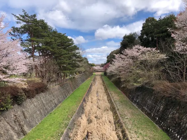 JBP協会 認定ブロンズ会員（初級資格・基準評価クリアフォトグラファー）サービスの画像