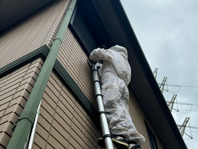 蜂の駆除なら水道屋の副業スイドウリペアにお任せ！　即日•翌日対応OKサービスの画像