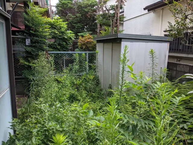 ●早く綺麗に極上仕上げ●お洒落センス抜群●親切丁寧100点サービスの画像