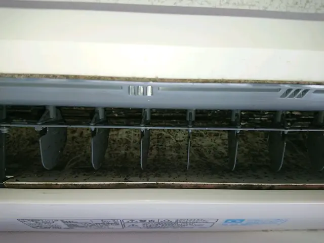 残7名限定！！当店ご依頼で「ラブブ」プレゼントキャンペーン中！(↓詳細確認↓)サービスの画像