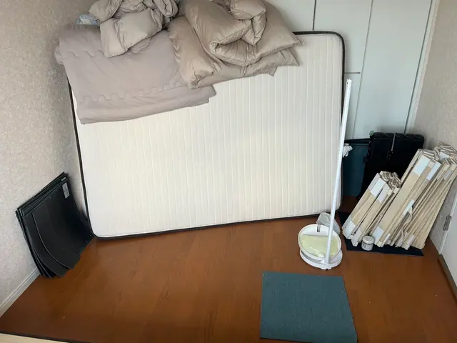 24時間、当日可能です！国家資格取得のプロによる徹底駆除！まずは無料相談から→→サービスの画像