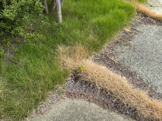 お客様のお力になります！経験と知識を活かして迅速丁寧に作業いたしますサービスの画像