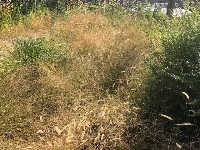 ◆◇12月新規出店◇◆お客様の期待に気持ちで応える！コミュニケーション◎サービスの画像