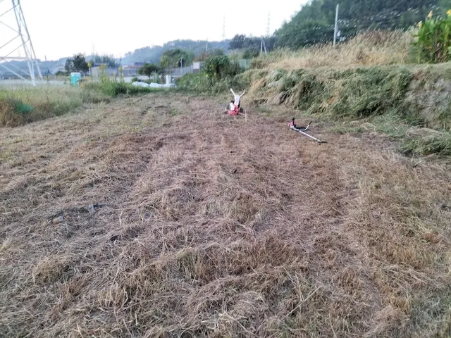 ◆◇12月新規出店◇◆お客様の期待に気持ちで応える！コミュニケーション◎サービスの画像