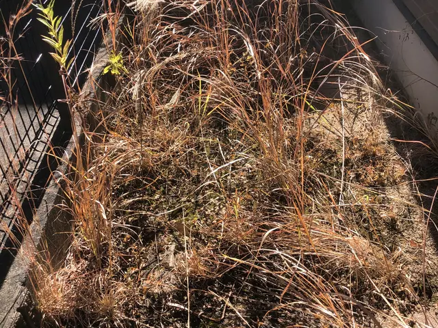 ◆◇12月新規出店◇◆お客様の期待に気持ちで応える！コミュニケーション◎サービスの画像