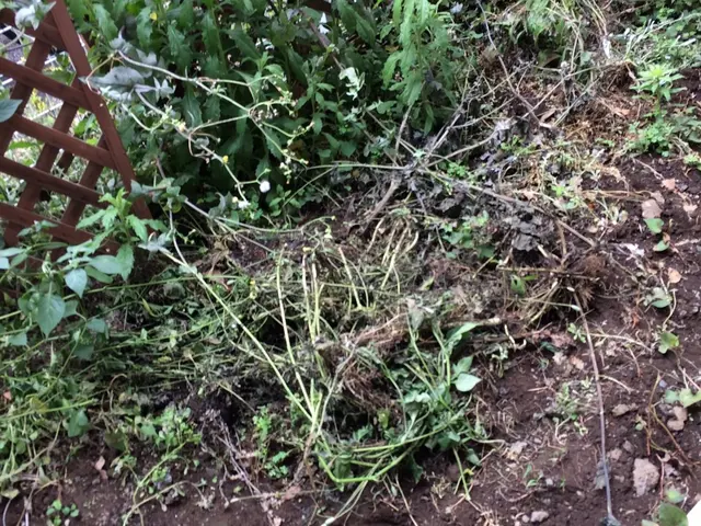 面倒な防草シートご用意もできます♪その後の砂利や人工芝等の搬入もお任せ下さい！サービスの画像