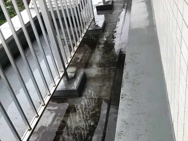 ハウスクリーニング専門店　[年間作業実績300件以上！］サービスの画像