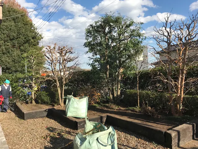 【15年の実績】剪定時期・環境・使い方からご提案。まずはご相談ください！サービスの画像