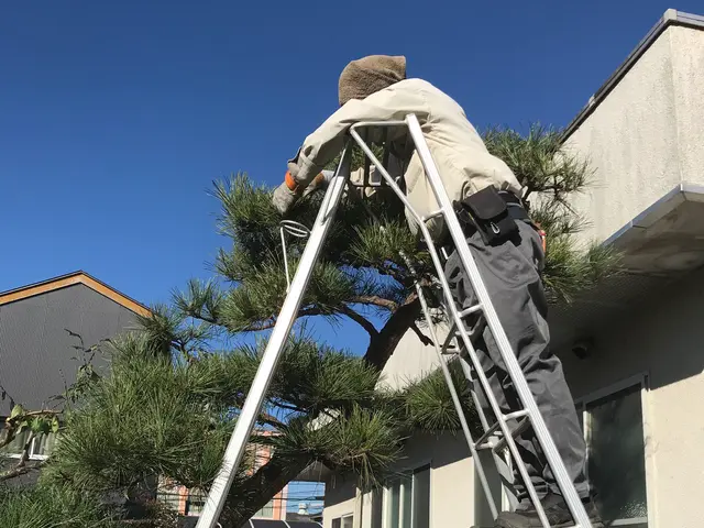 【15年の実績】剪定時期・環境・使い方からご提案。まずはご相談ください！サービスの画像