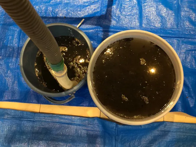 テレビ・くらマYouTubeなど複数出演！【アワード6年連続受賞】複数台割引ありサービスの画像