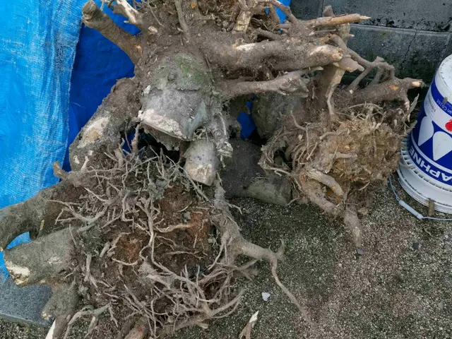 【年中無休で営業】早朝・夜間の作業OK！親切対応・丁寧に作業いたします◯サービスの画像